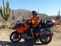 2014 Ride